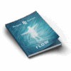 Flow - Image 2